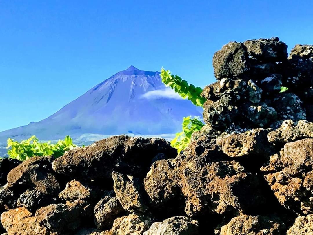 Villa Baco'S Vineyard Lajido Exterior foto